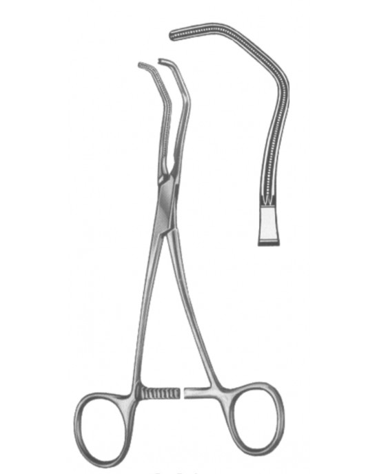 SH- 19-5573-17