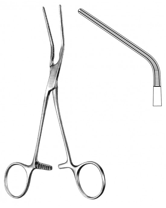 SH- 19-5575-20