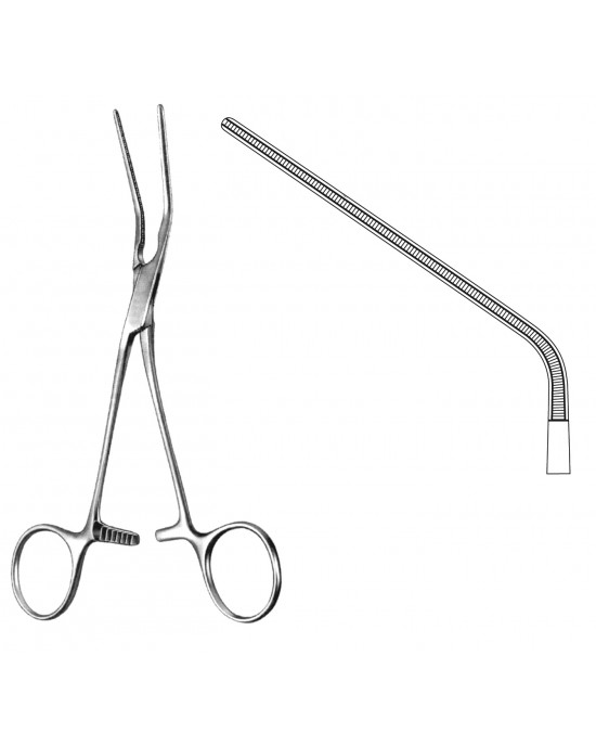SH- 19-5575-24