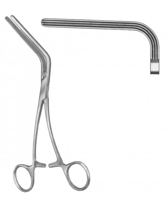 SH- 19-5577-18