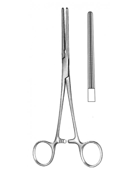 SH- 19-5578-16