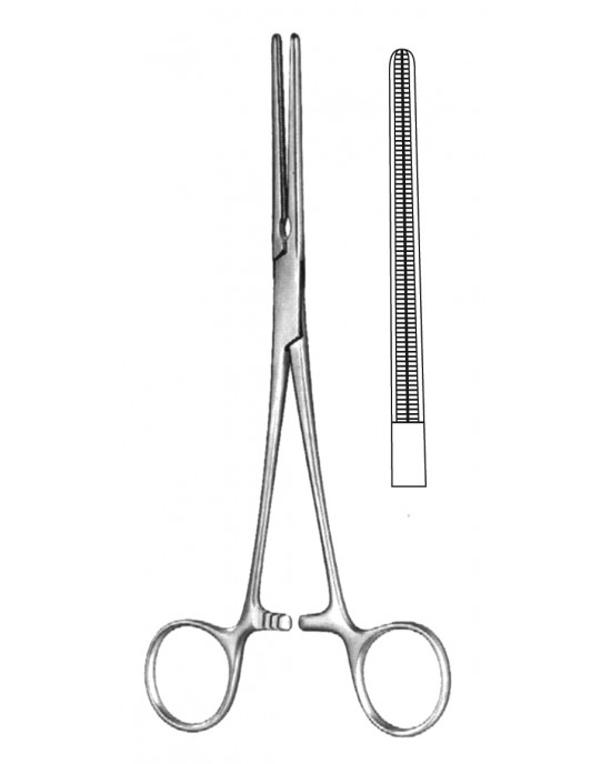 SH- 19-5578-18
