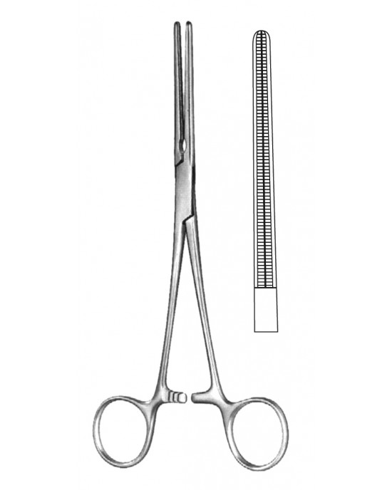 SH- 19-5578-20
