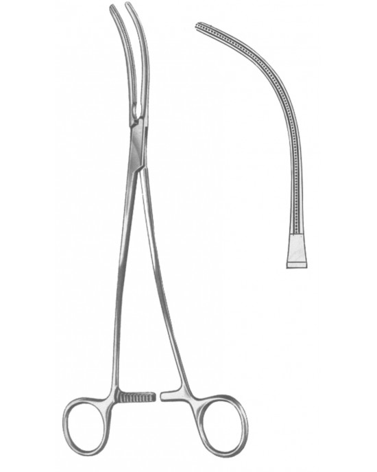 SH- 19-5579-24