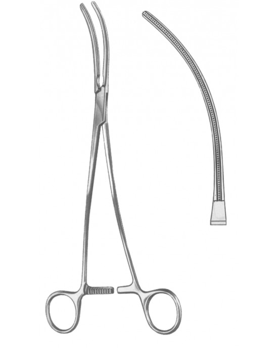 SH- 19-5579-25