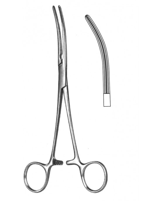 SH- 19-5580-14