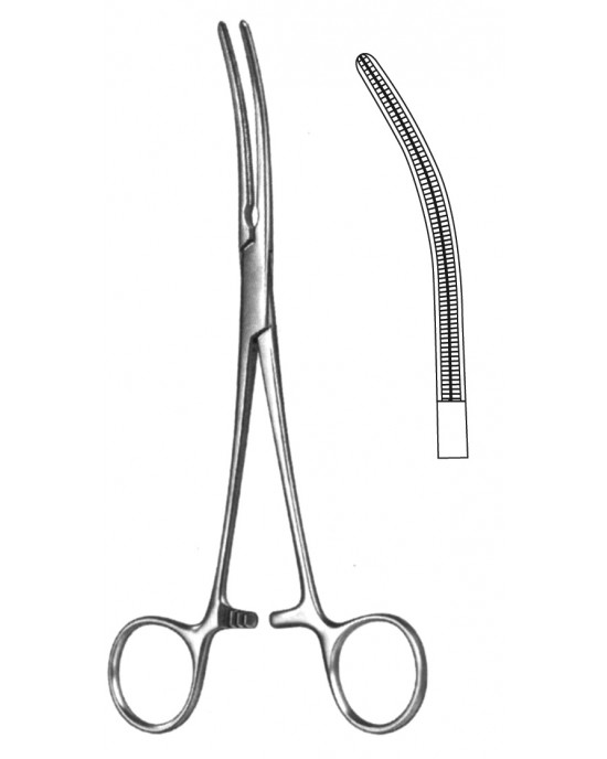 SH- 19-5580-16