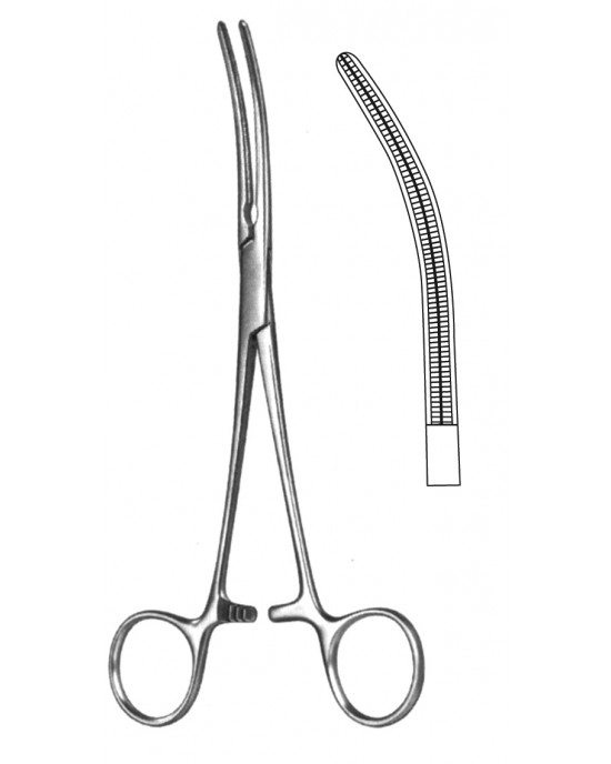 SH- 19-5580-18