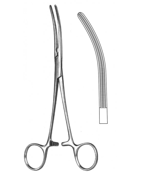 SH- 19-5580-20