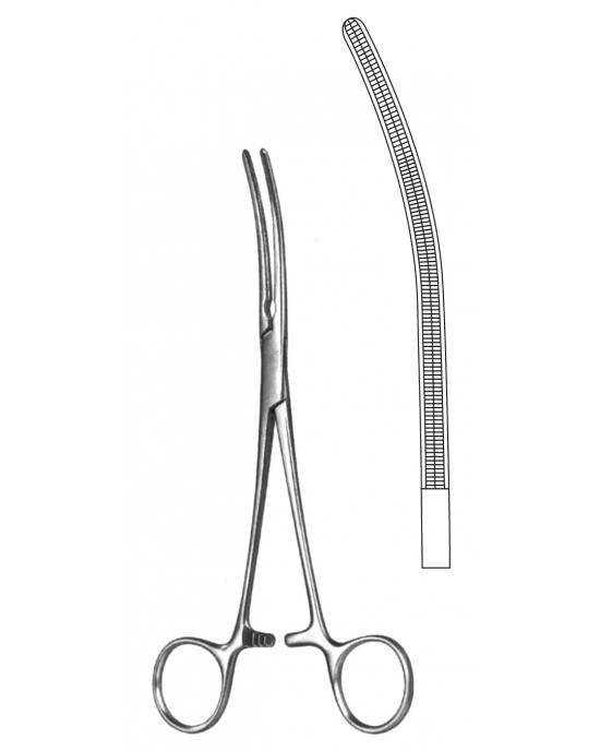 SH- 19-5580-28