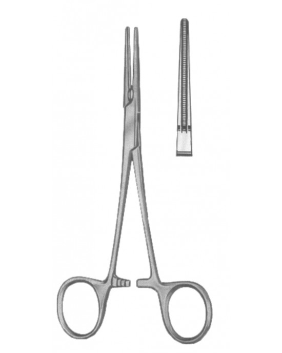 SH- 19-5581-16