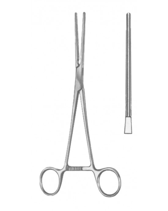 SH- 19-5584-17