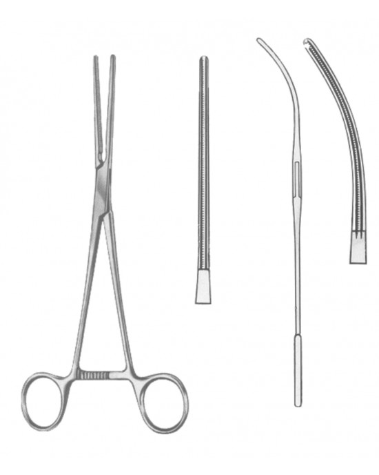 SH- 19-5586-17