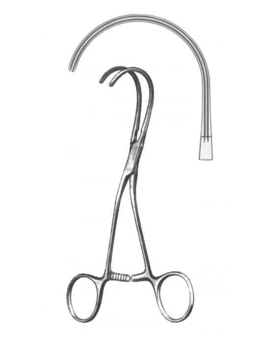 SH- 19-5588-17