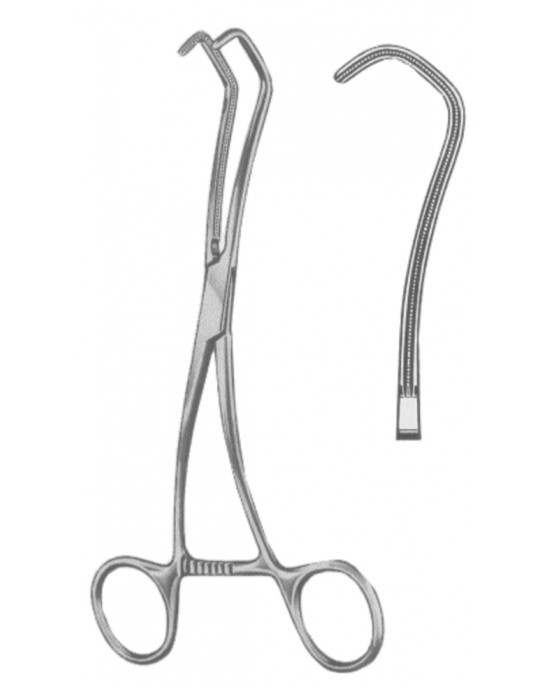 SH- 19-5589-16