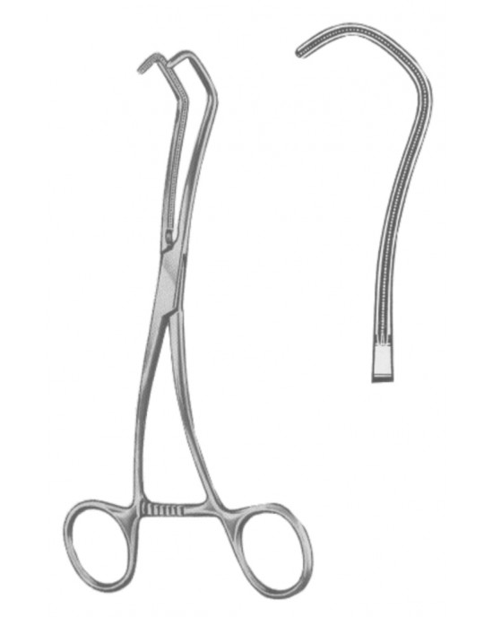 SH- 19-5589-17