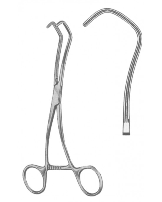 SH- 19-5589-18