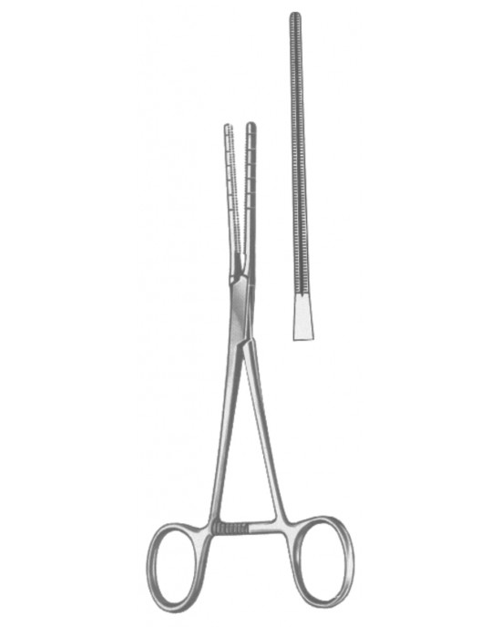 SH- 19-5591-17