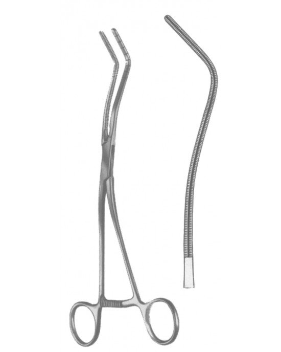 SH- 19-5595-20