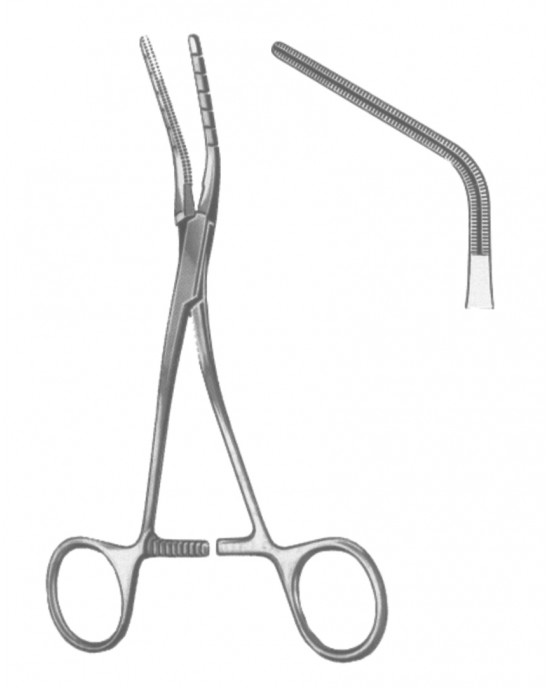 SH- 19-5596-02