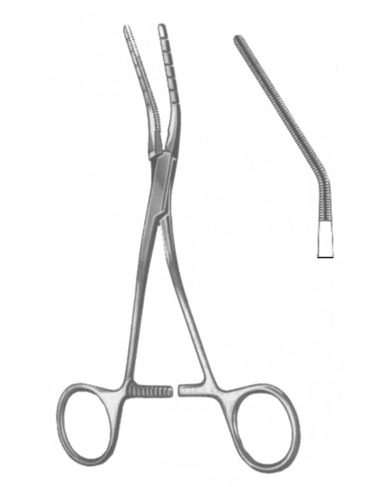SH- 19-5596-03