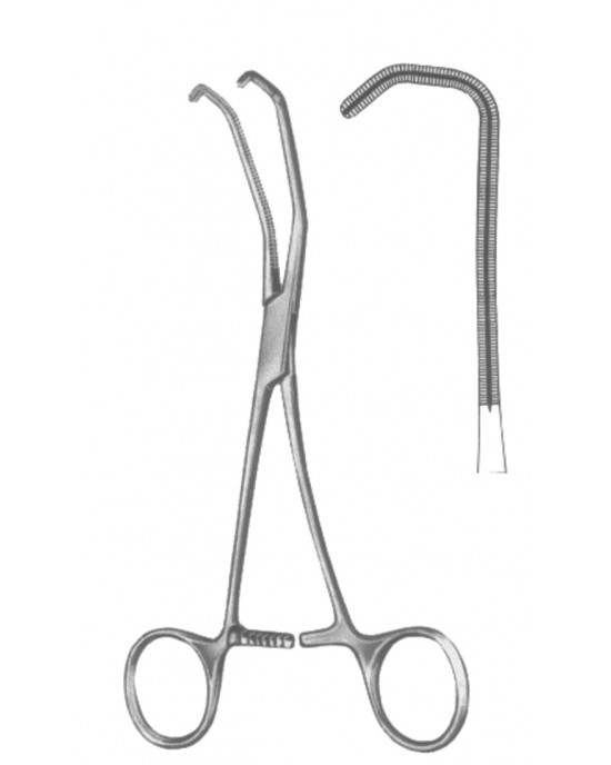 SH- 19-5599-17