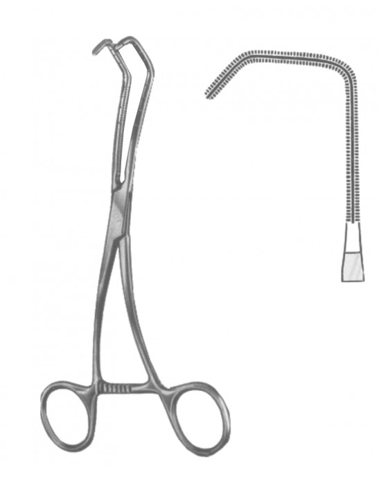 SH- 19-5600-01