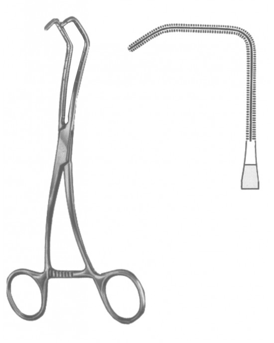 SH- 19-5600-02