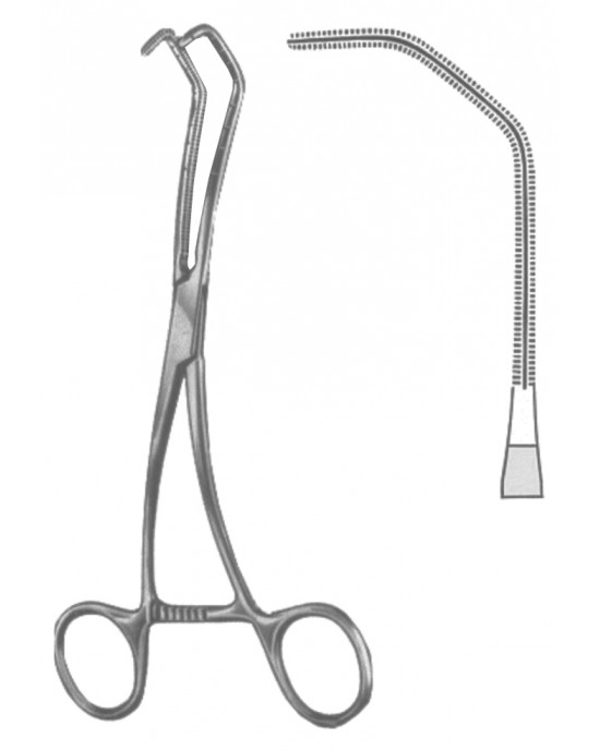 SH- 19-5600-03