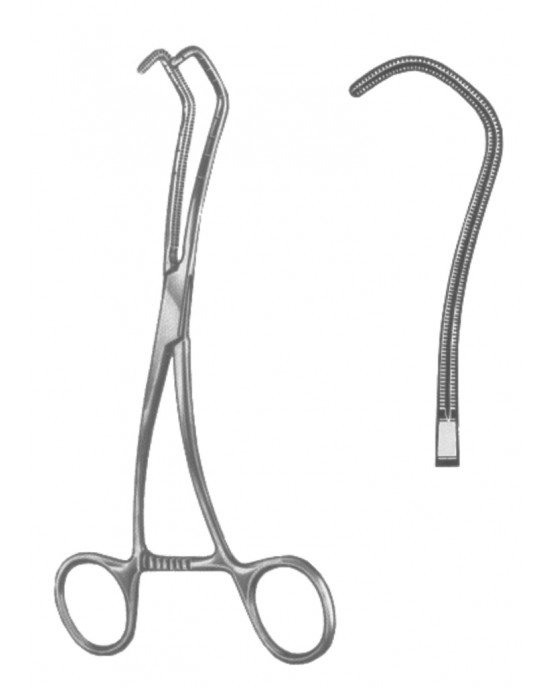 SH- 19-5603-17