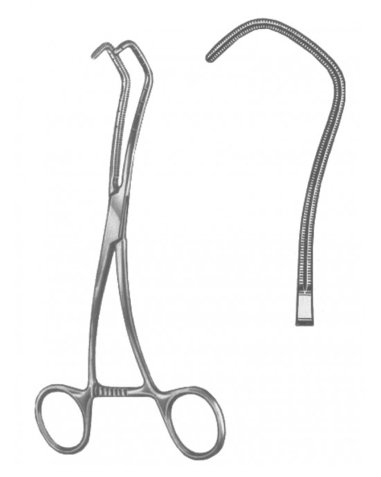 SH- 19-5603-18
