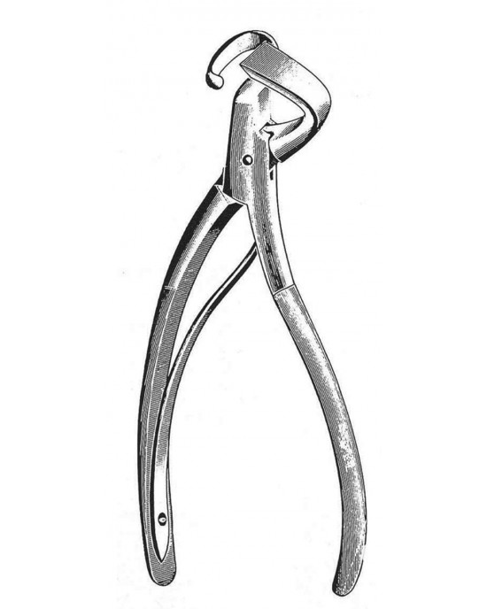 SH- 19-5630-19