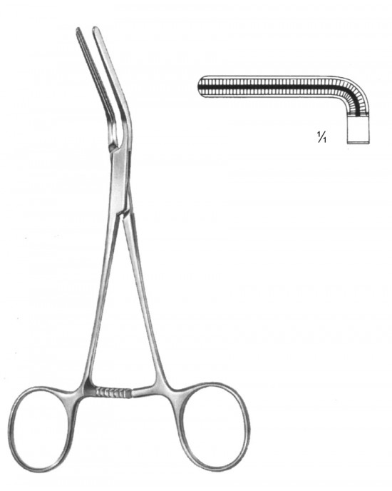 SH- 19-5751-01