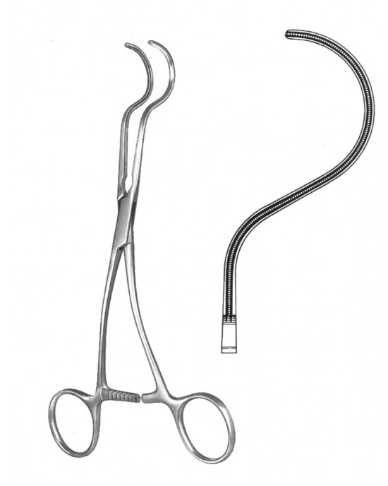 SH- 19-5753-19