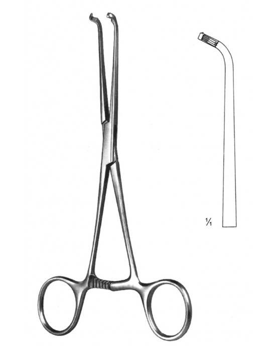 SH- 19-5755-18