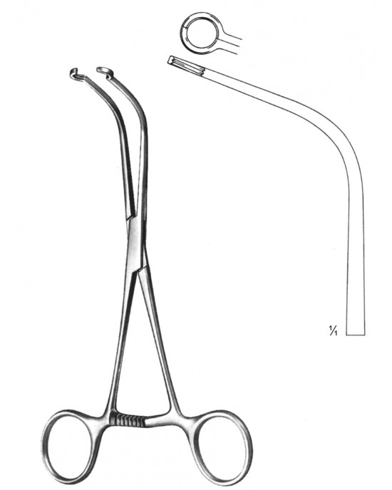 SH- 19-5756-19