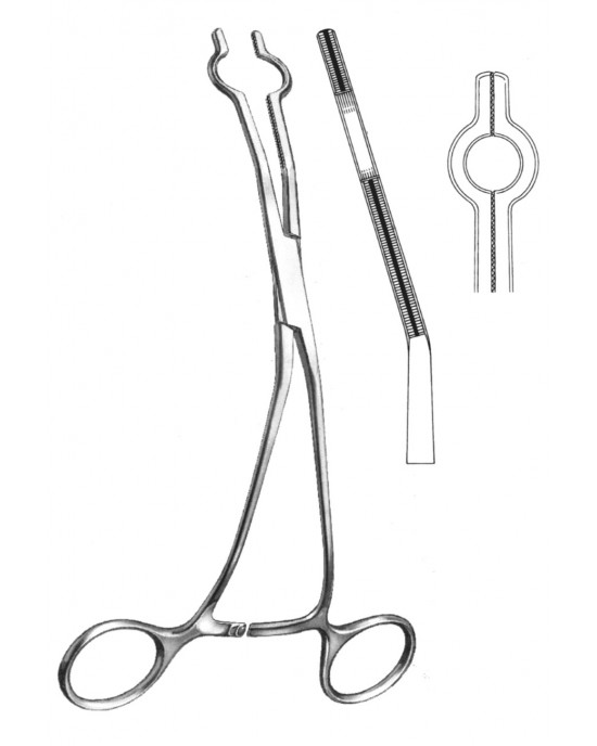 SH- 19-5765-01