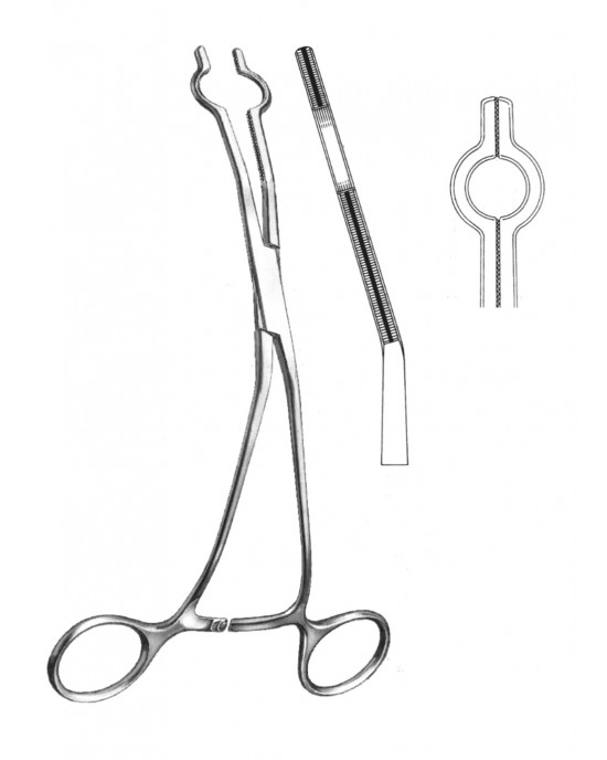 SH- 19-5765-02