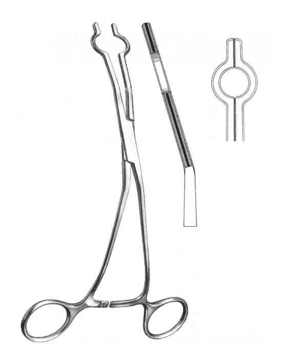 SH- 19-5765-03