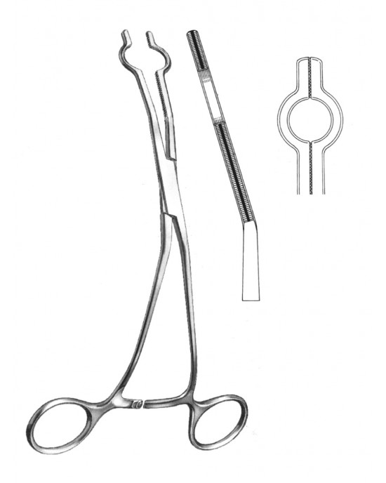SH- 19-5765-04