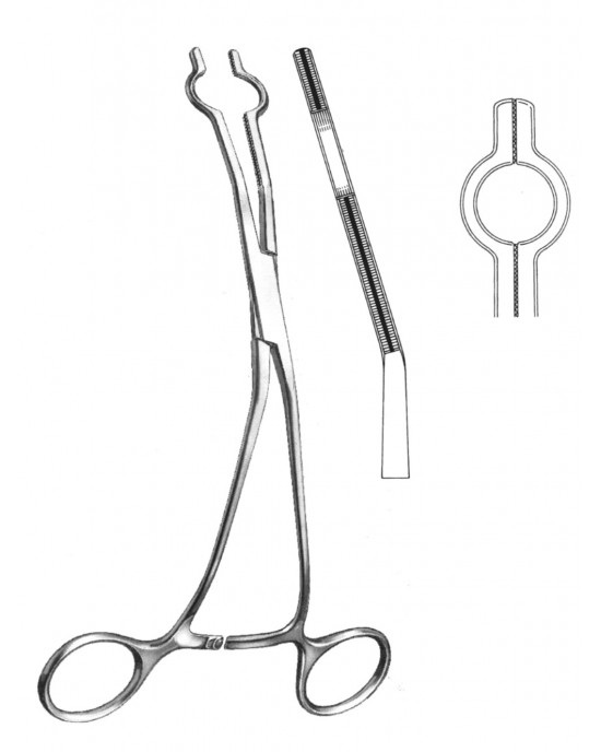 SH- 19-5765-06