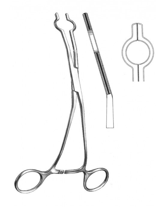 SH- 19-5765-07