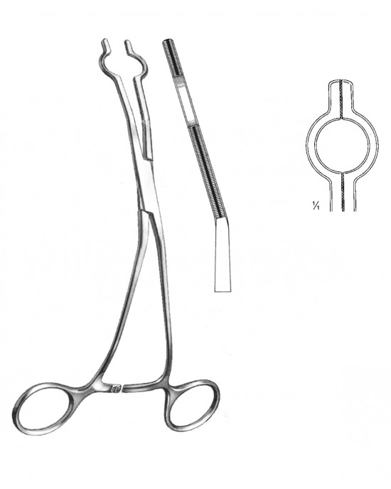 SH- 19-5765-08