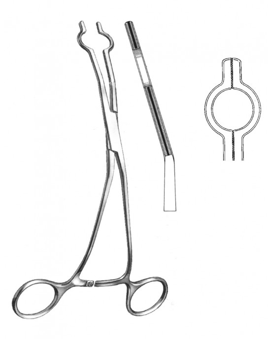 SH- 19-5765-09