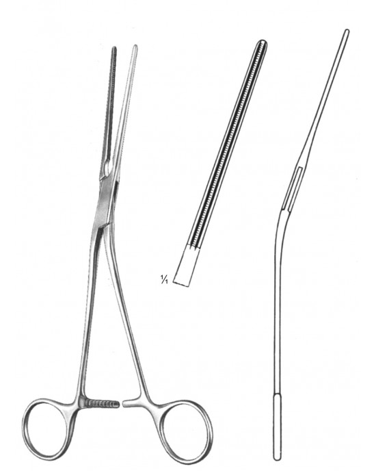 SH- 19-5768-22