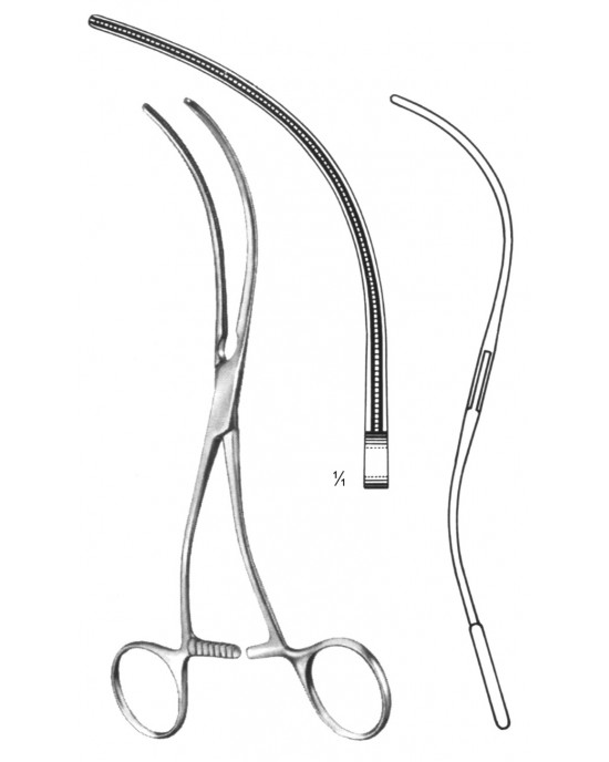 SH- 19-5773-19