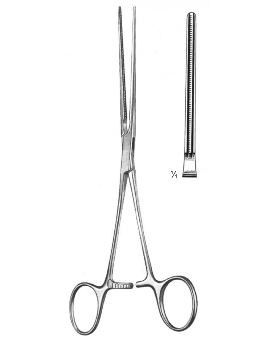 SH- 19-5778-15