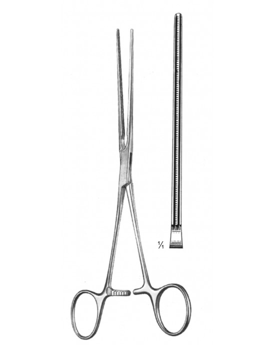 SH- 19-5778-18