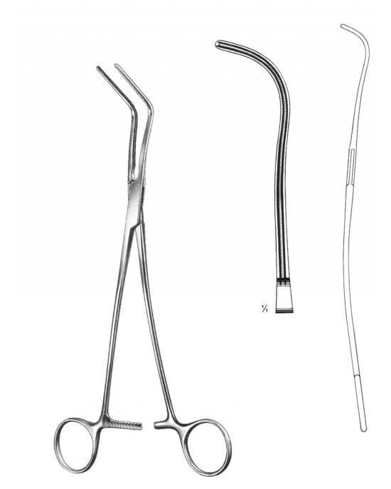 SH- 19-5795-01