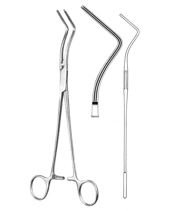 SH- 19-5798-23